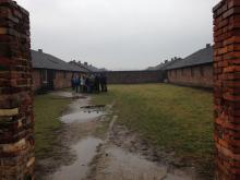 Birkenau